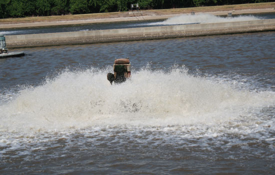 portfolio woocommerce