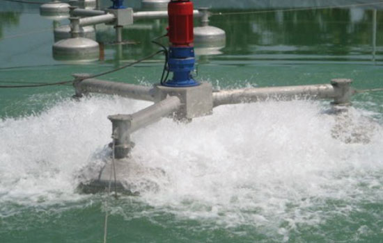 portfolio woocommerce