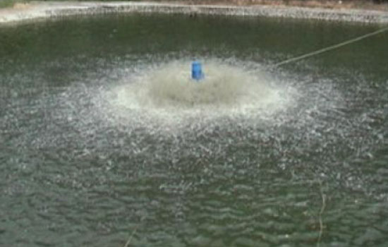 portfolio woocommerce